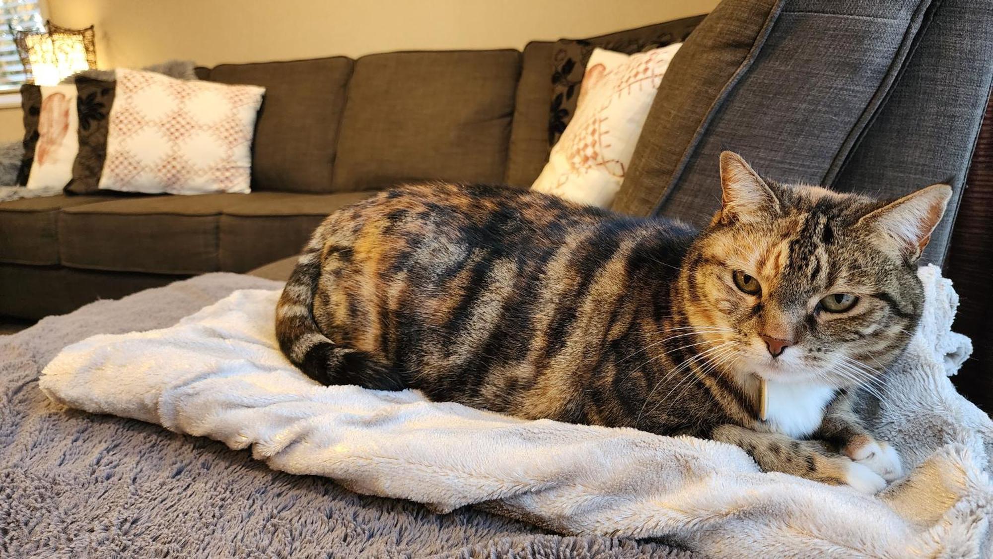 Huntington Honey Apartman Hamilton Kültér fotó